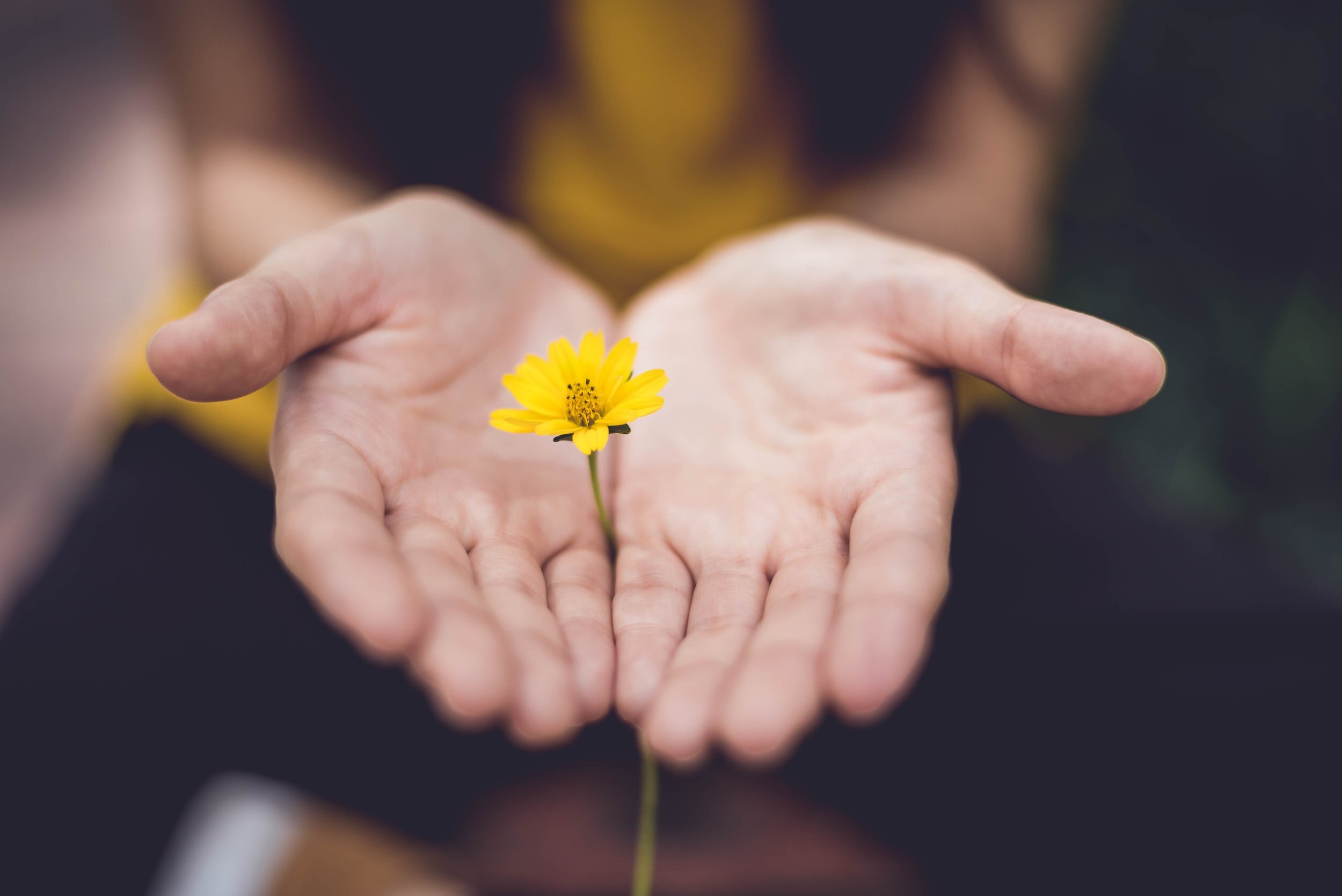 How Can Christians Give Glory to God? 